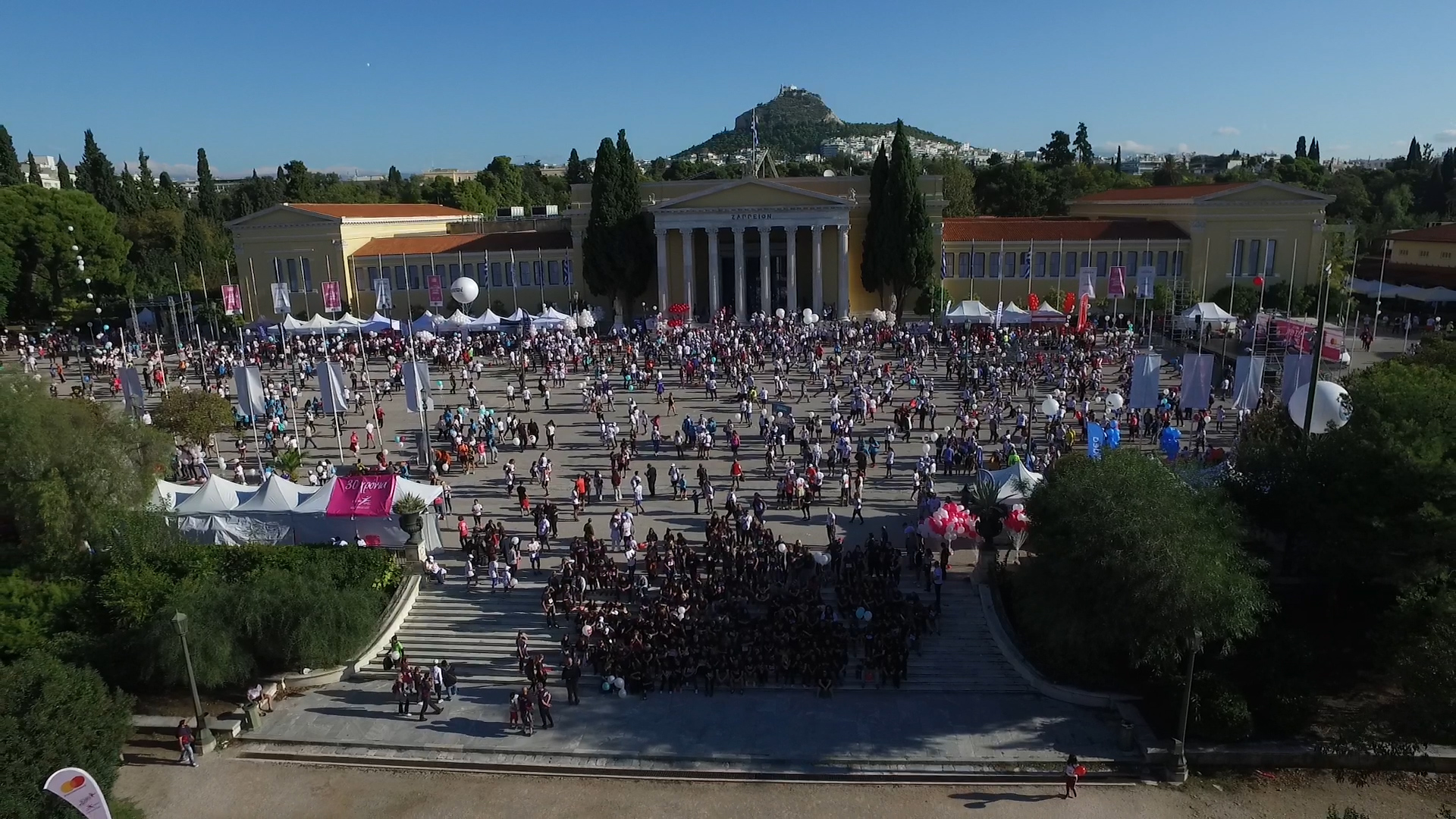 Race for the Cure